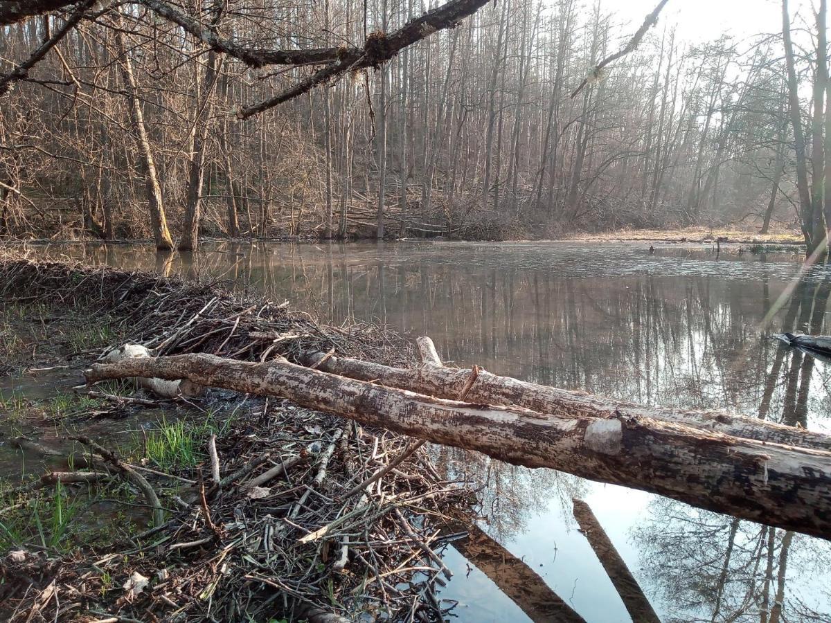 Chateau Brulant Somme-Leuze Zewnętrze zdjęcie